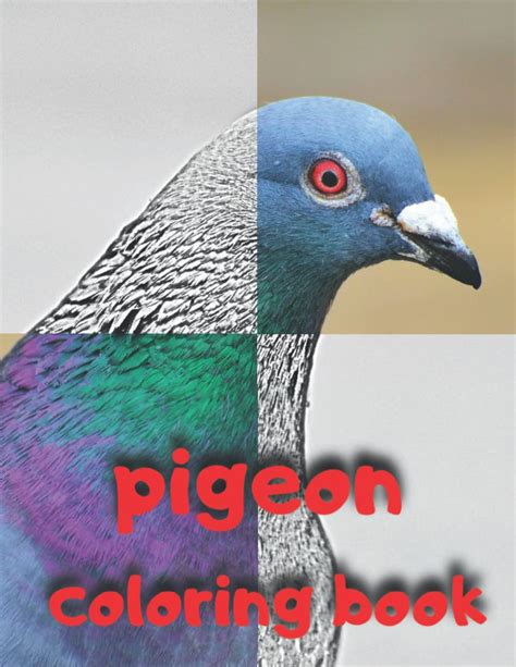 Pigeon Coloring Book Pigeon Grayscale Coloring Book 49 Realistic Pigeon ...