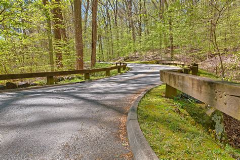 Free photo: Rock Creek Park Road - HDR - , Rocks, Rocky - Free Download ...