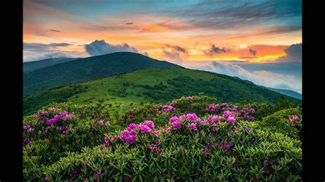 Appalachian Spring Music & Wine Celebration , Seven Sails Vineyard ...