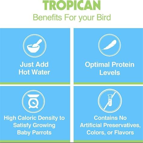 Pet Parrot Hand Feeding Formula 的图像结果