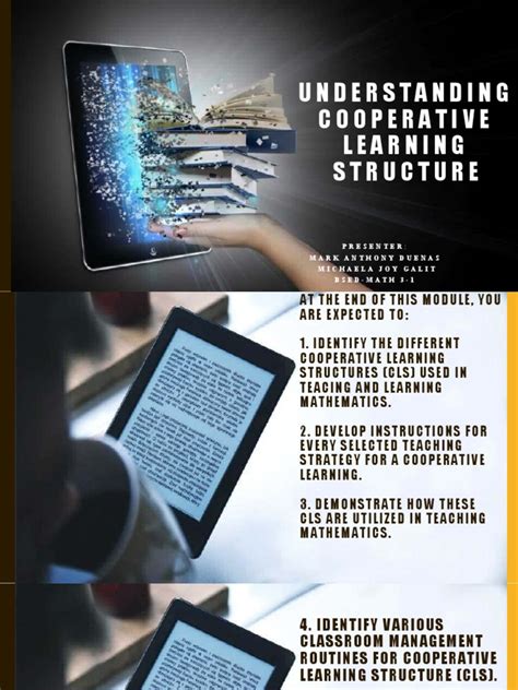 Co-operative Learning Theory 的图像结果