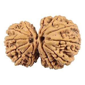 The Gallery Of Gemstones GauriShakar Nepal Rudraksha Natural Lab ...