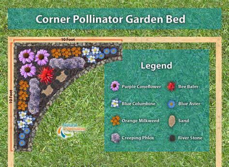 A Corner Pollinator Garden Plan to help you naturally attract ...