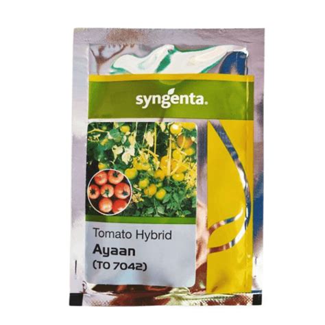 Syngenta Ayaan TO 7042 Tomato Seed Price in India, – BEEJMART
