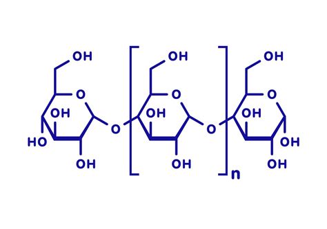 Polysaccharides Cellulose
