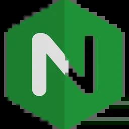 Nginx 的图像结果