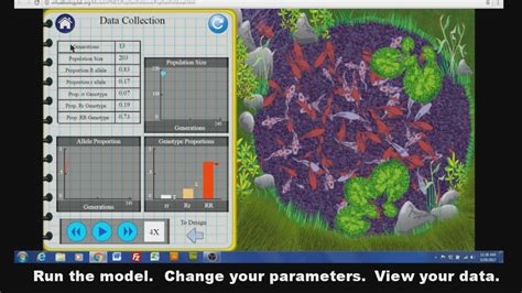 Virtual Lab Genetics 的图像结果