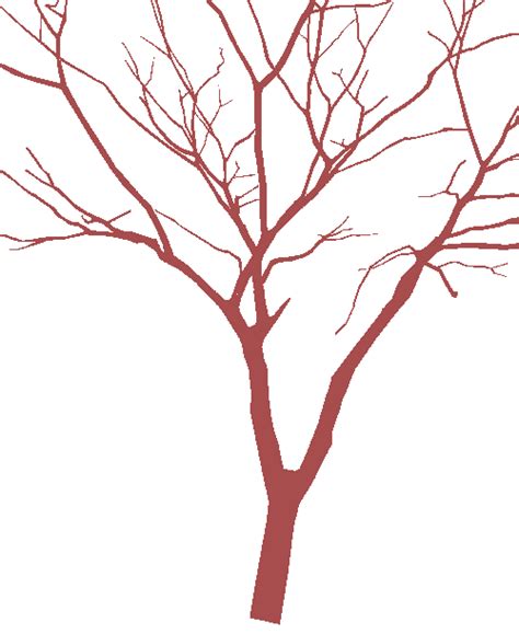 Urban Street: Branch - Dataset Ninja