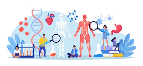 Biology Human Anatomy and Physiology 的图像结果