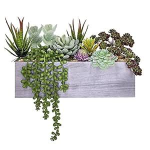 Buy Supla Artificial Pre-Made Succulent Arrangement - 10 Pcs Assorted ...