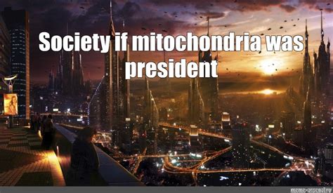 Society If Meme 的图像结果