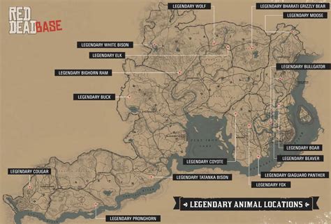 Legendary Coyote | RDR2 Animals | Map Location & Where To Find