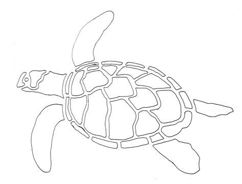 Turtle Outline Drawing at PaintingValley.com | Explore collection of ...