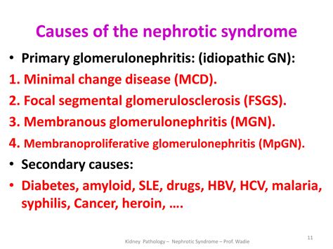 Renal pathology the nephrotic syndrome- prof wadie | PDF