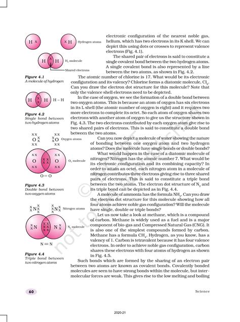 Carbon And Its Compounds - NCERT Book of Class 10 Science