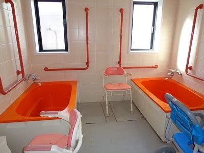 Image result for Notched SpO2 Pleth