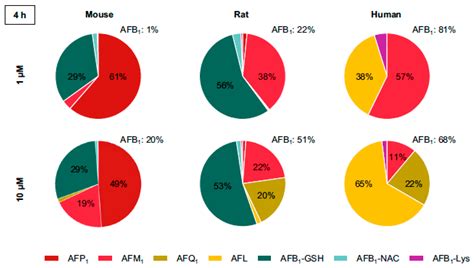 Species Differences in the Biotransformation of Aflatoxin B1: Primary ...