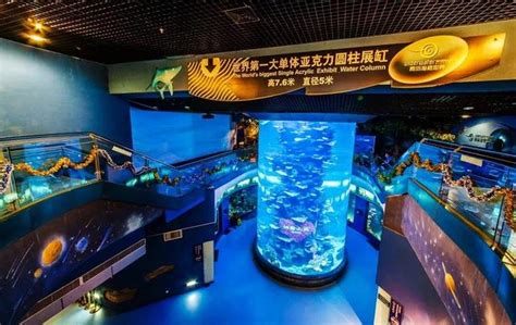 盘点那些著名的水族馆有哪些特点？真实有效 - 上海蓝湖水族工程 - 上海蓝湖水族工程有限公司