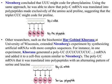 Image result for Deciphering Code