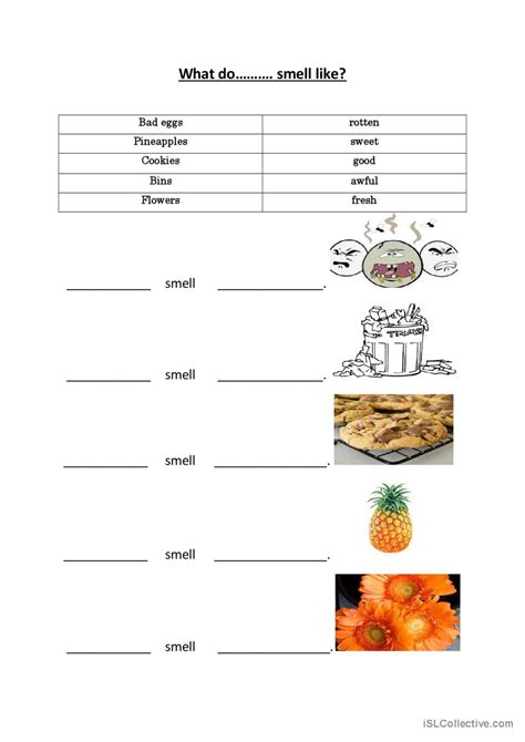 What do.......smell like?: English ESL worksheets pdf & doc