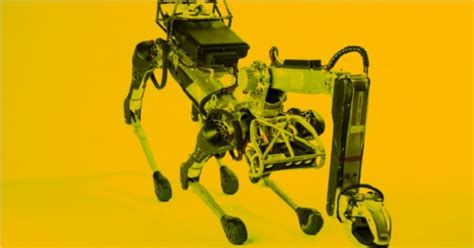 Bio-Inspired Robots Will Officially Serve In South Korean Army In 2024 ...