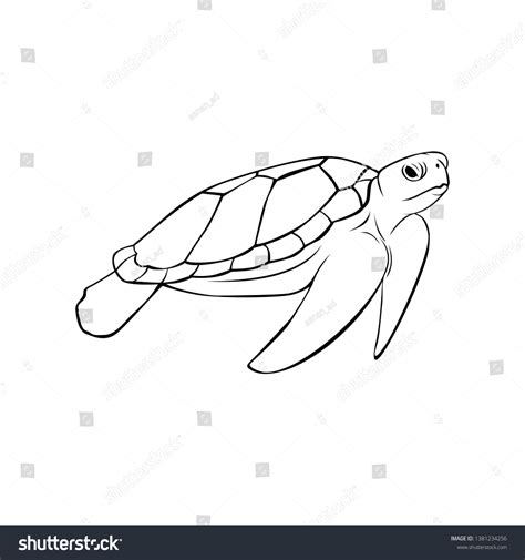 7,735 Sea turtle outline Images, Stock Photos & Vectors | Shutterstock