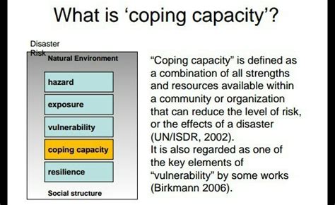 what are the coping measure of disaster management - Brainly.in