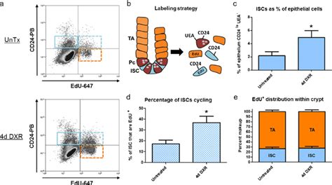 Image result for ISC Cell