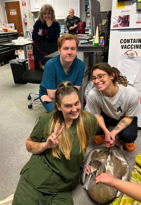 Sayville Veterinary Jobs | NY Veterinary Employment Opportunities