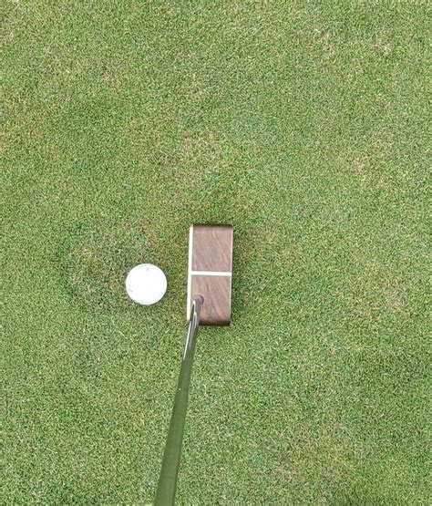 Image result for Modular Putter