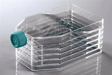 Image result for Flask Types