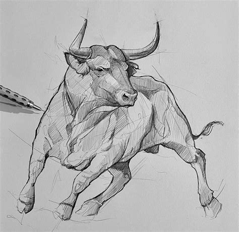 Bull Art Drawing