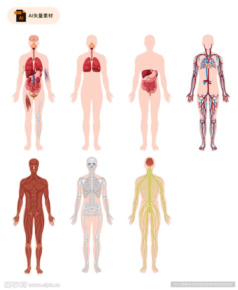 医学 的图像结果