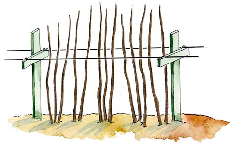 Image result for Easy DIY Raspberry Support