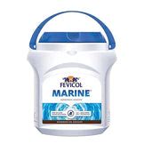 Fevicol Marine Waterproof Adhesive – HomeRun