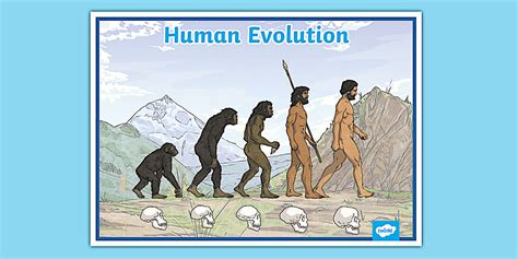 Image result for Evolution Graph Animation