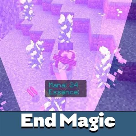 Image result for Minecraft End Magic Mod