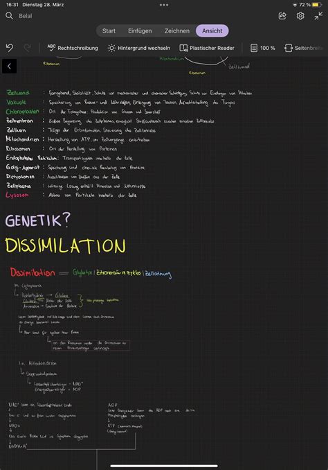 Image result for Switching From Paper to OneNote
