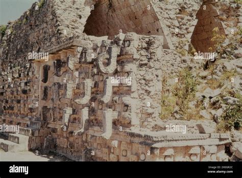 Poop Building 的图像结果