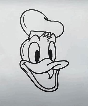 how to draw a bird front view