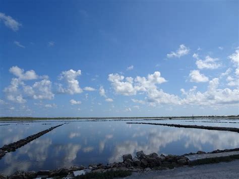 Salt Cay Divers - All You Need to Know BEFORE You Go (with Photos)