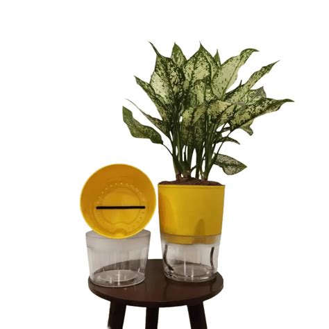 LOBELLO Premium Quality self watering pot – Lalit Enterprise