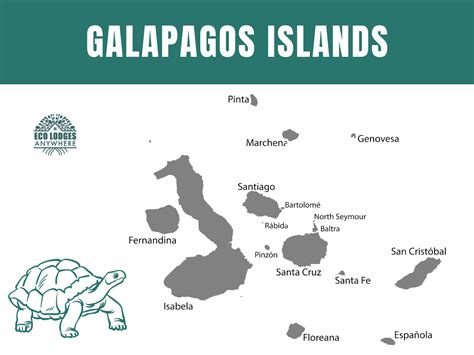 Galapagos Islands Map: Your Ultimate Explorers Guide