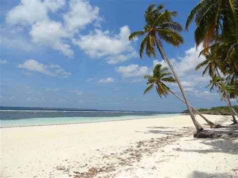 Image result for Java Birai