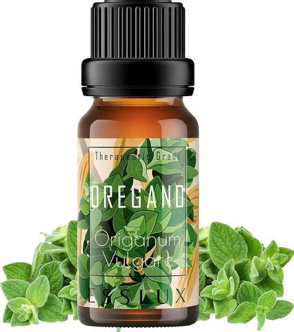 10 Best Oregano Oil Brands in India 2024 – VedaOils
