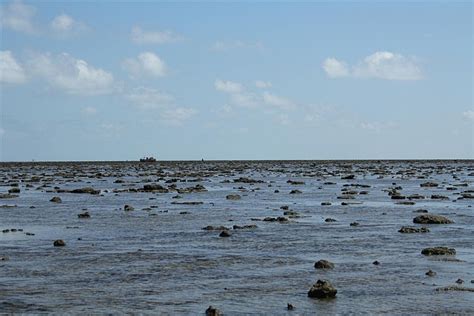 Photologue of Narara Marine National Park Dwaraka Gujarat