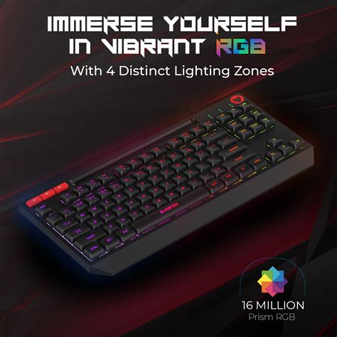 EvoFox Deathray TKL RGB Gaming Keyboard – Amkette