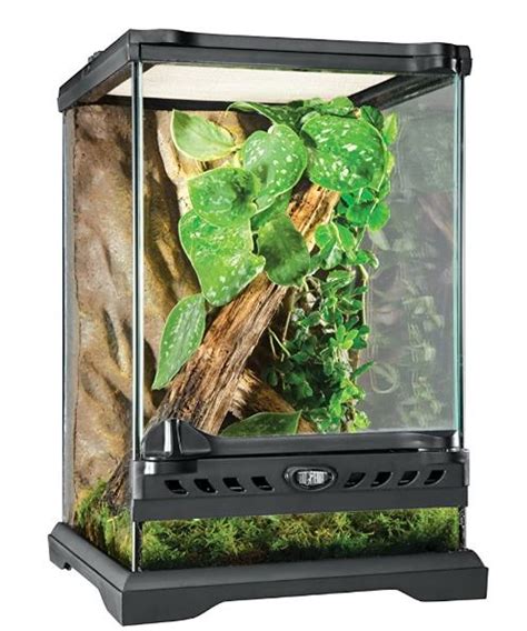 Image result for Lizard Containers