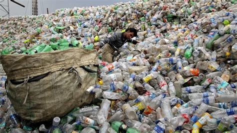 Greater Noida: 'Plastic-eating' bacteria discovered in wetlands