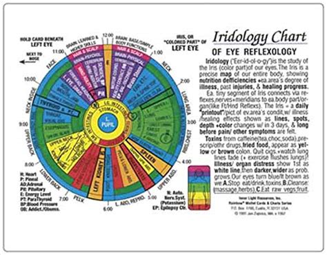 Buy IRIDOLOGY Chart Of EYE Reflexology (Rainbow Coded), by Inner Light ...